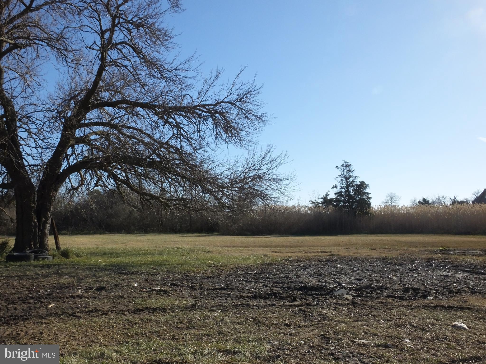 1213 Horse Point Road Fishing Creek, MD 21634 - Photo 4 of 23 a view of outdoor space with trees