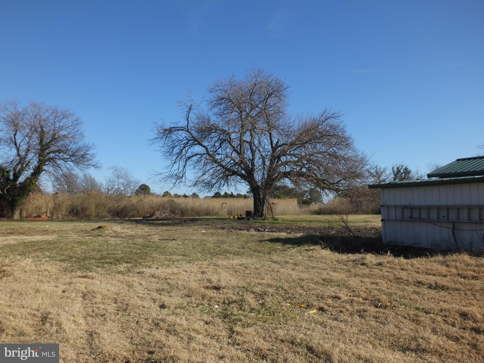 1213 Horse Point Road Fishing Creek, MD 21634 - Photo 7 of 23 a view of a yard next to a yard with large tree