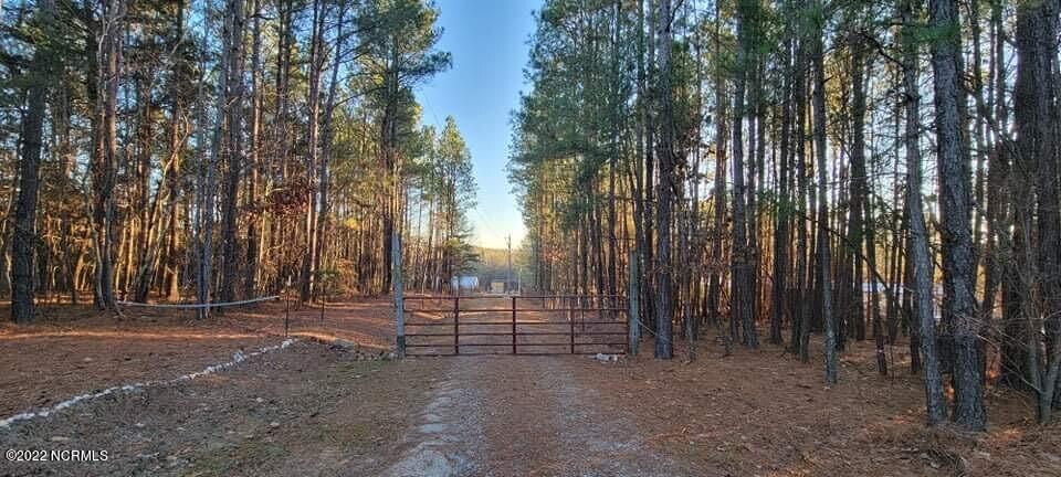 142 Capel Mill Road Ellerbe, NC 28338 - Photo 3 of 18 1