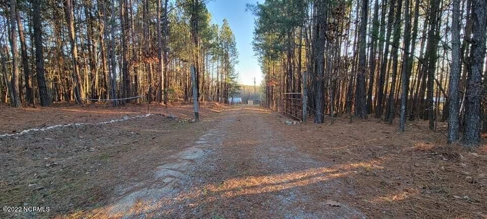 142 Capel Mill Road Ellerbe, NC 28338 - Photo 4 of 18 2