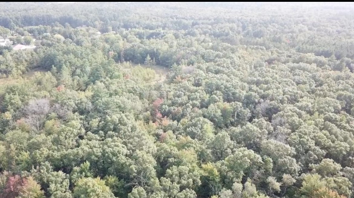 0 Sand Road Merrillan, WI 54754 - Photo 6 of 8