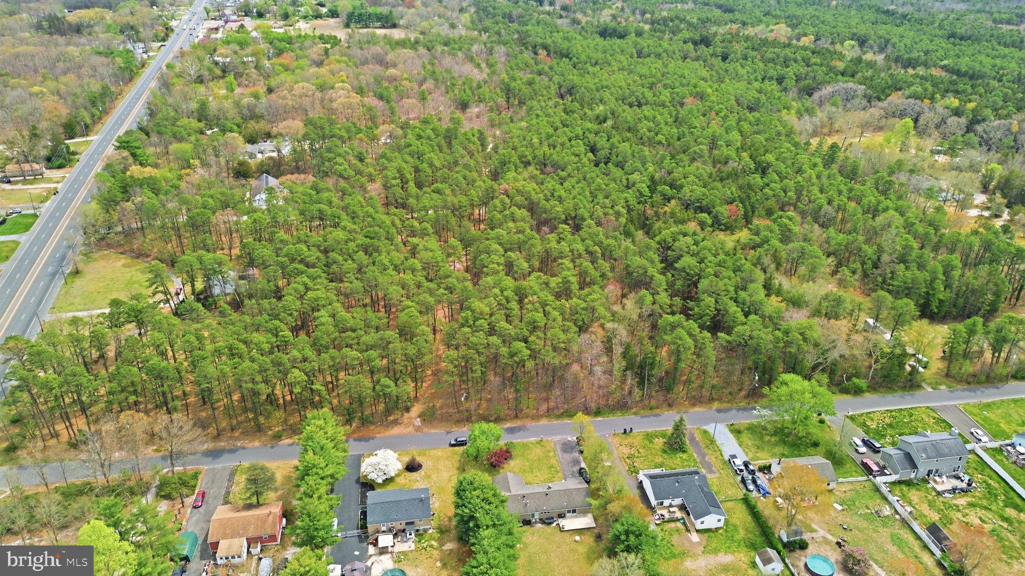 0 Sharp Road Williamstown, NJ 08094 - Photo 2 of 13 a view of yard with green space