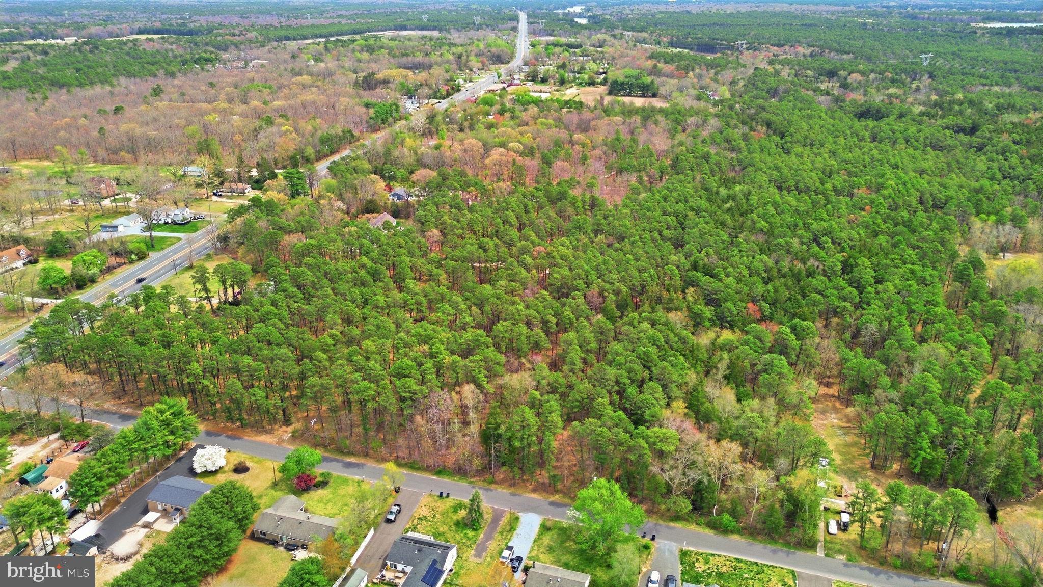 0 Sharp Road Williamstown, NJ 08094 - Photo 3 of 13 a view of yard with green space