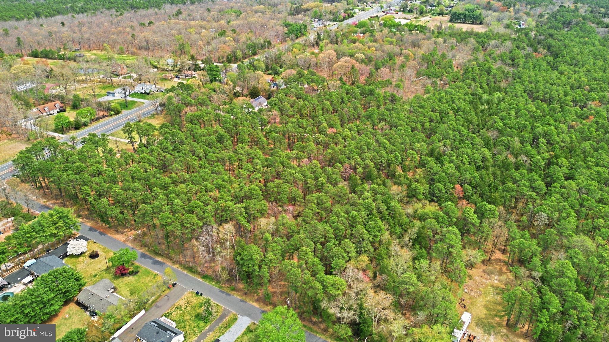 0 Sharp Road Williamstown, NJ 08094 - Photo 4 of 13 view of a yard with a tree