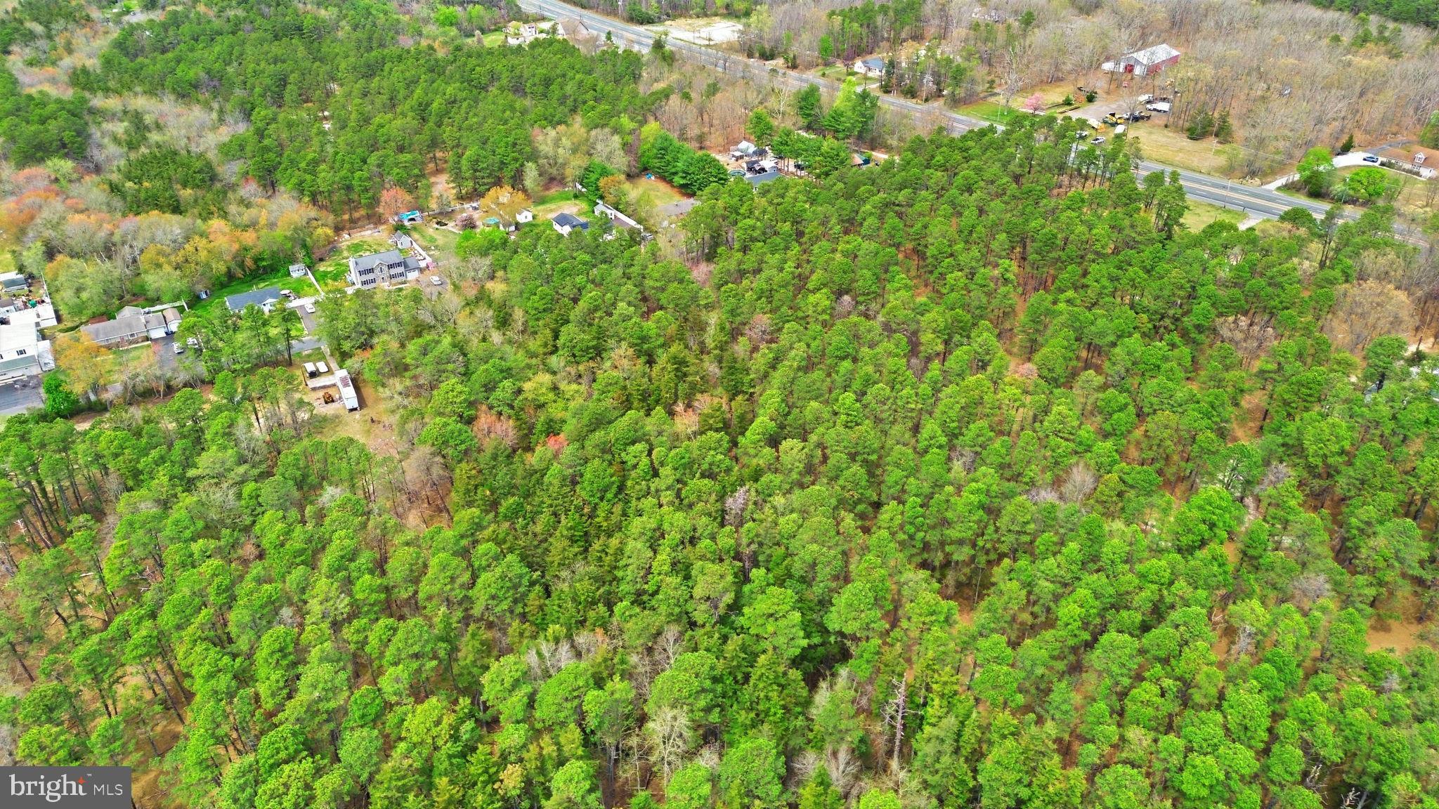 0 Sharp Road Williamstown, NJ 08094 - Photo 8 of 13 a view of a lush green forest