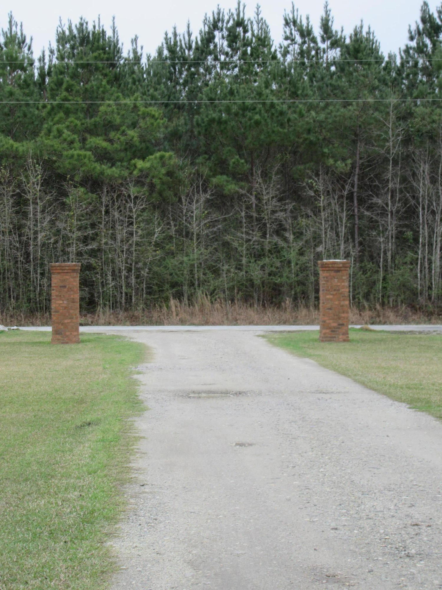 844 County Rd S-18-298 Ridgeville, SC 29472 - Photo 34 of 44 IMG_0552