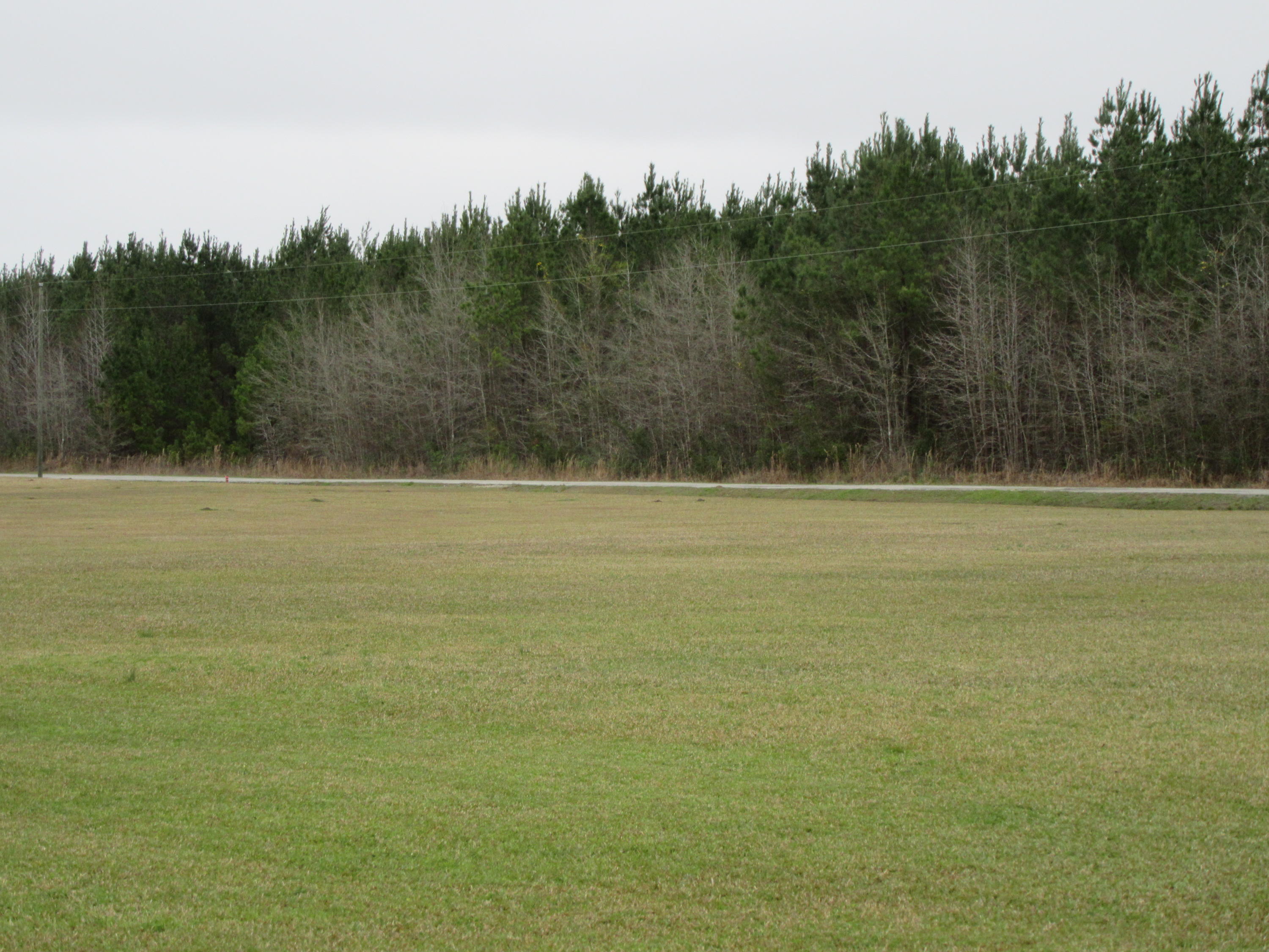 844 County Rd S-18-298 Ridgeville, SC 29472 - Photo 35 of 44 IMG_0553