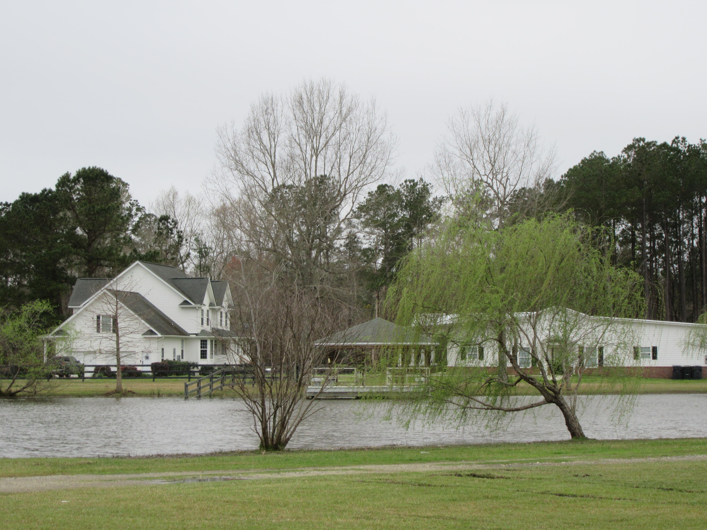 844 County Rd S-18-298 Ridgeville, SC 29472 - Photo 36 of 44 IMG_0555