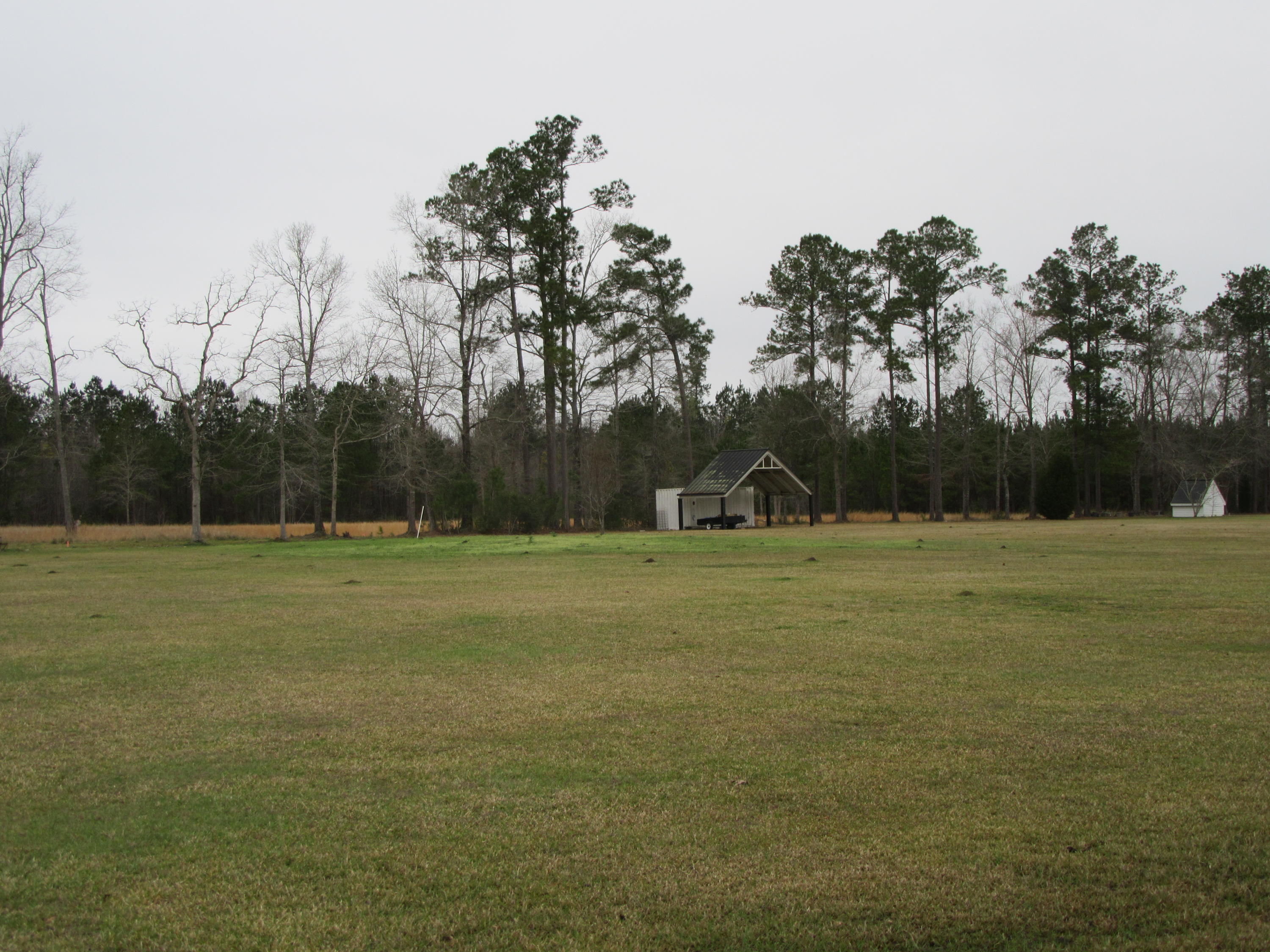 844 County Rd S-18-298 Ridgeville, SC 29472 - Photo 40 of 44 IMG_0539