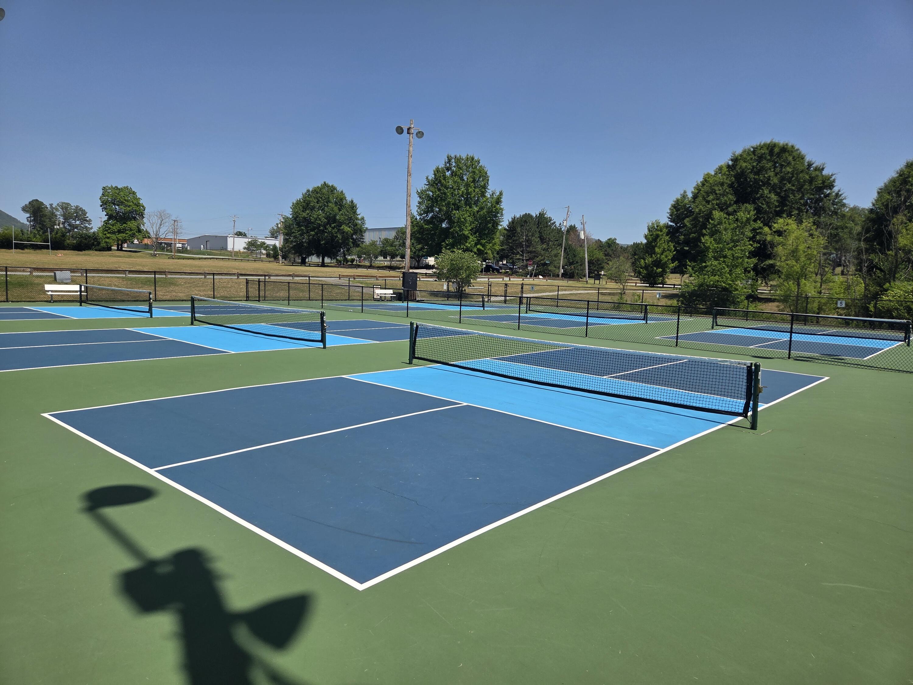 7633 Deer Branch Road Roanoke, VA 24019 - Photo 46 of 58 Pickle Ball