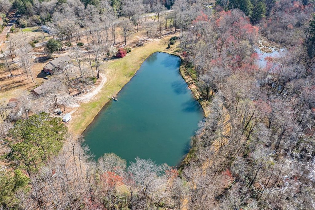 263 Greenville Road Warrenville, SC 29851 - Photo 30 of 42