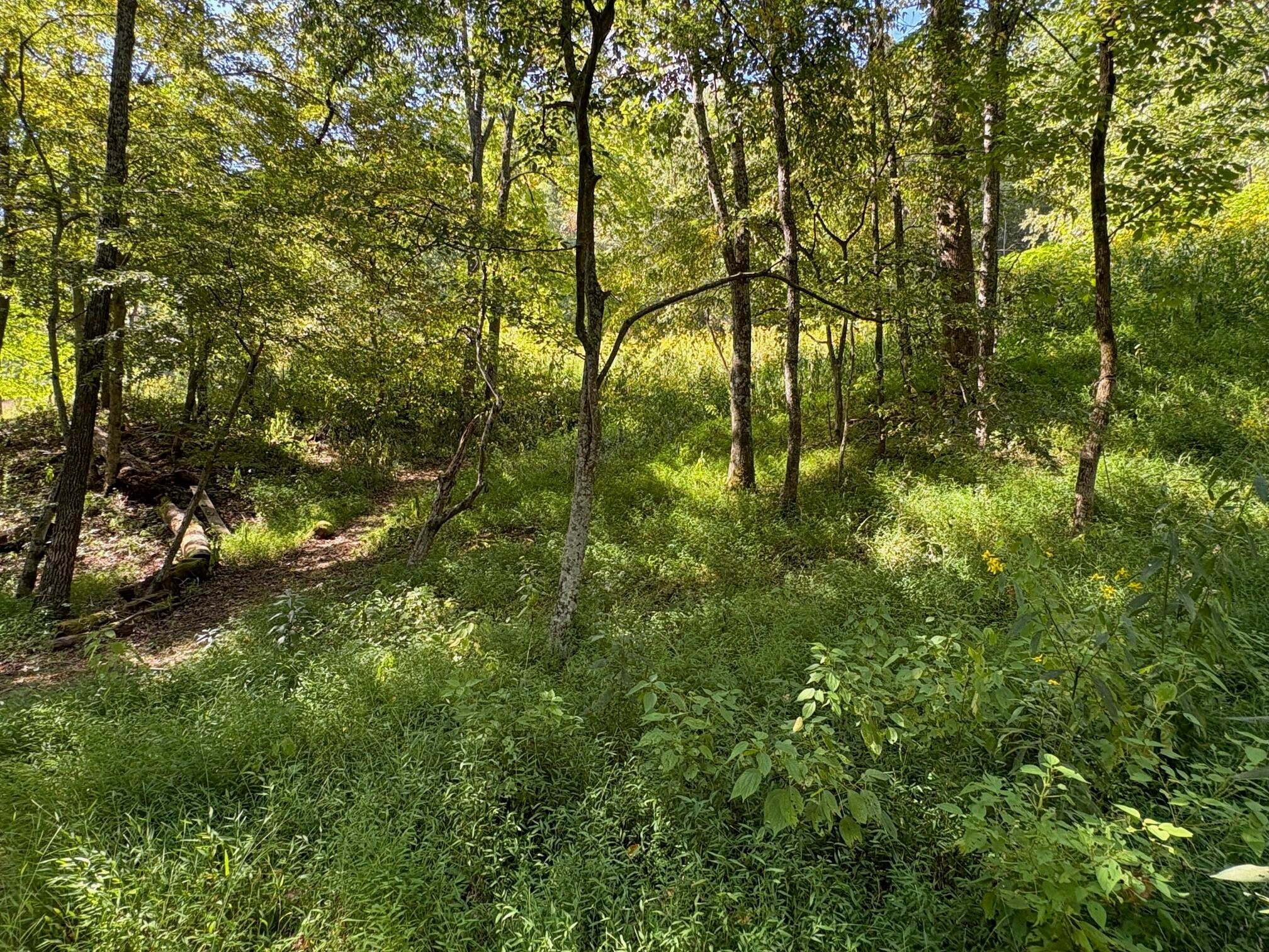 6652 Servia Road Duck, WV 25063 - Photo 56 of 69 Gallery Image 56