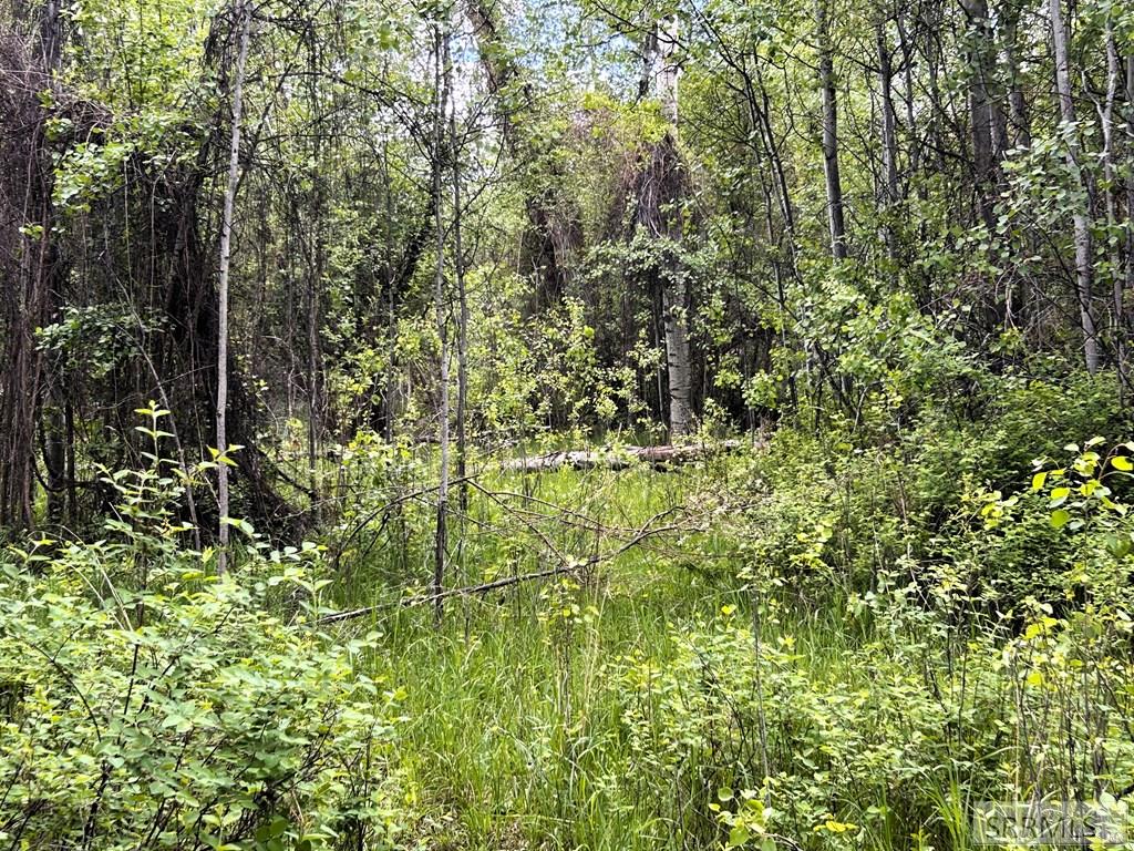 504 Carmen Creek Road Carmen, ID 83462 - Photo 47 of 56