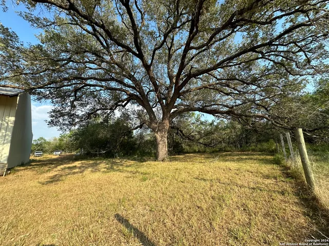 a view of swimming pool with large trees