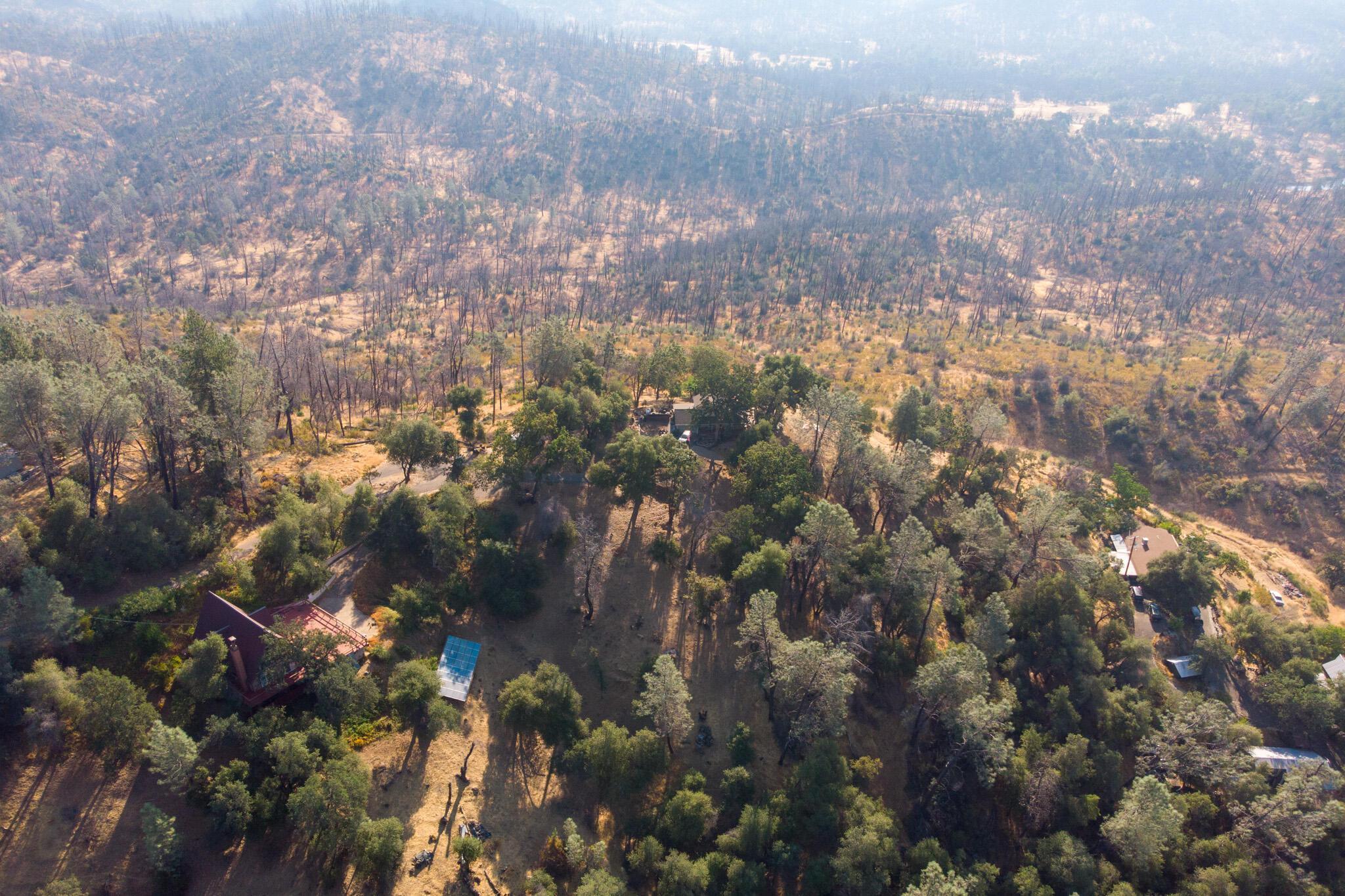 0 Wintu Way Redding, CA 96003 - Photo 11 of 11 a view of a city of lush green forest