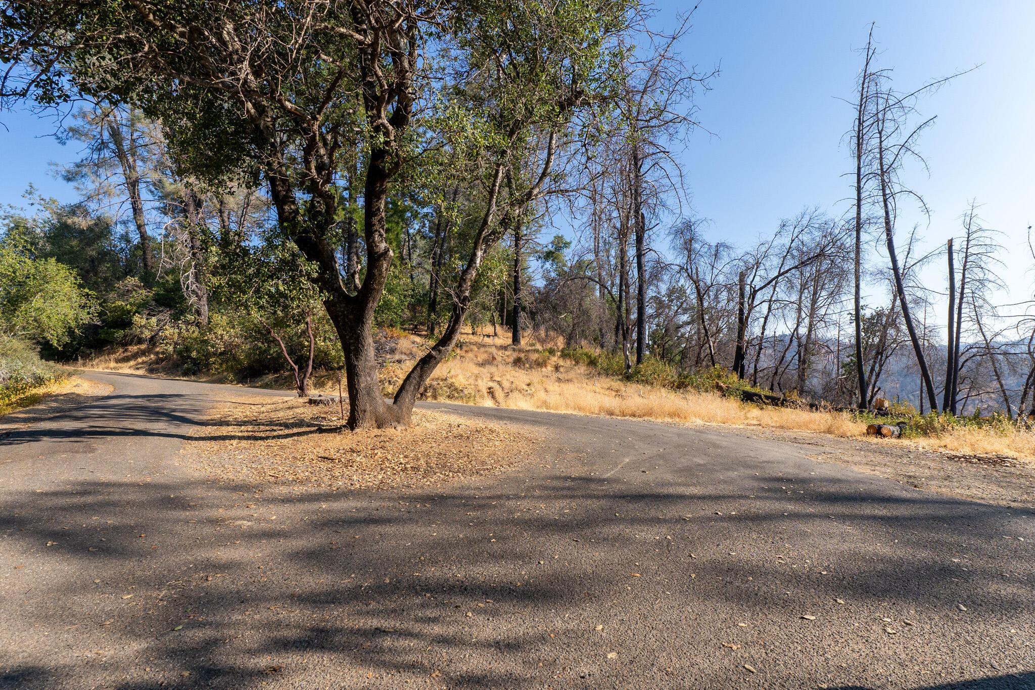 0 Wintu Way Redding, CA 96003 - Photo 4 of 11 a view of road space with trees