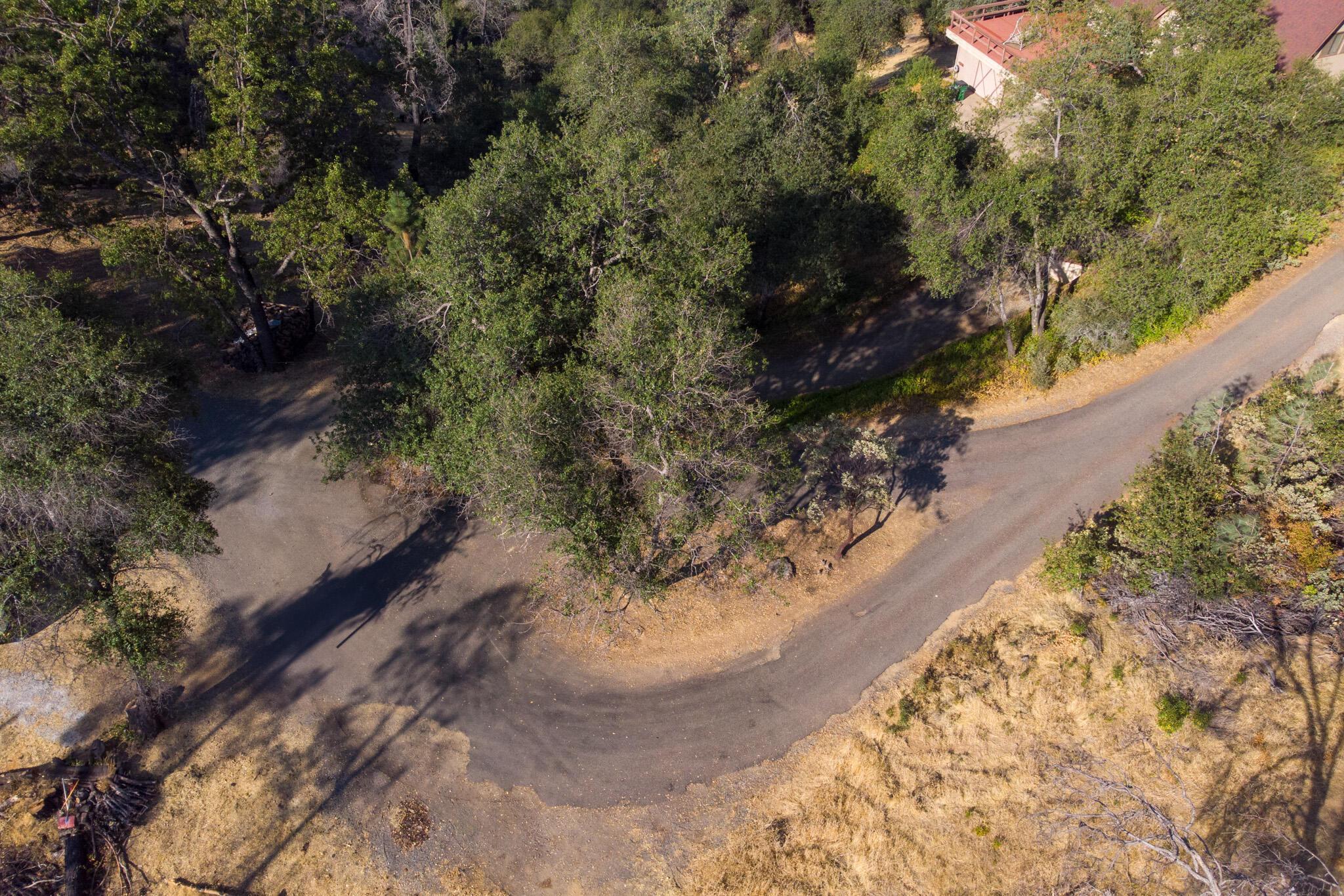 0 Wintu Way Redding, CA 96003 - Photo 6 of 11 a view of a forest with a yard