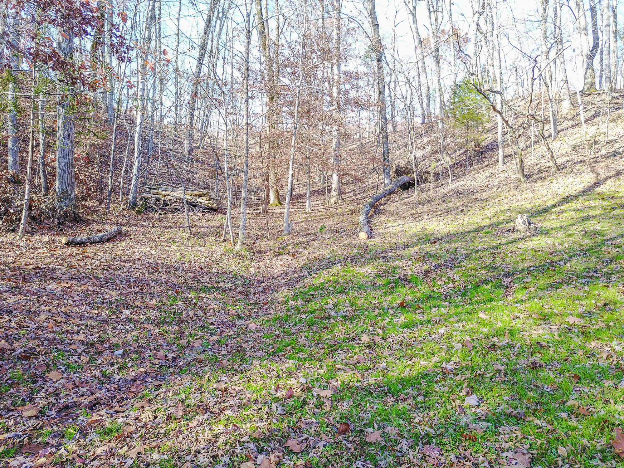 108 Telemann Lane Oak Ridge, TN 37830 - Photo 31 of 40 108 Telemann Lane, Oak Ridge, Tennessee