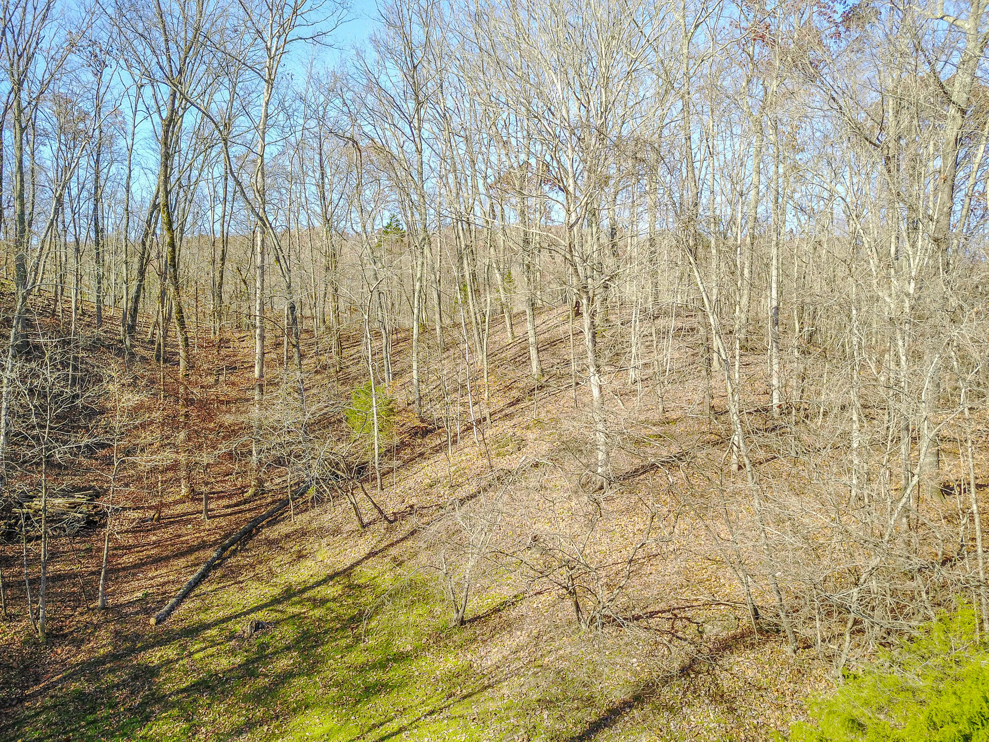 108 Telemann Lane Oak Ridge, TN 37830 - Photo 38 of 40 108 Telemann Lane, Oak Ridge, Tennessee