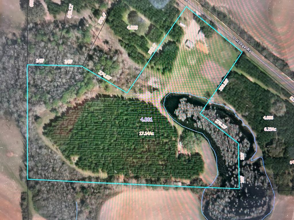 3876 D D Hodge Road Cottonwood, AL 36320 - Photo 47 of 48