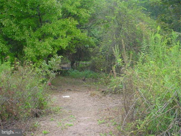 Lot #2 Sweetbriar Road Perkasie, PA 18944 - Photo 3 of 7