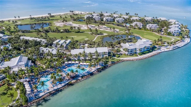 a view of a flower in a garden