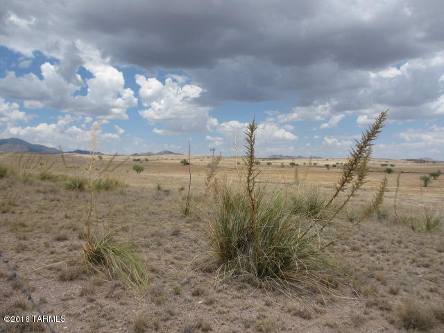 0 Curly Horse Ranch Road Sonoita, AZ 85637 - Photo 12 of 13