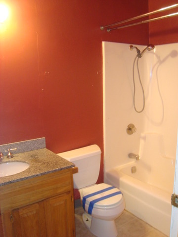 109 Cloverleaf Road Matteson, IL 60443 - Photo 12 of 25 a bathroom with a sink a toilet and shower