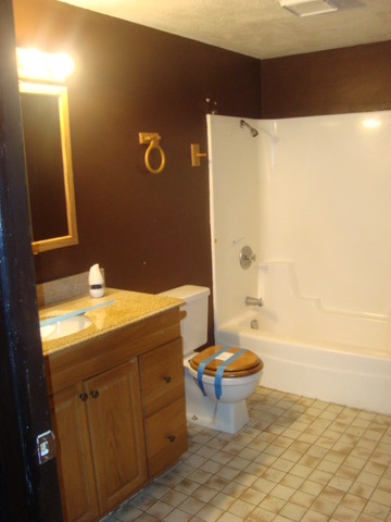 109 Cloverleaf Road Matteson, IL 60443 - Photo 20 of 25 a bathroom with a sink a toilet and shower