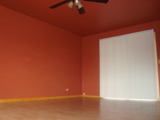 109 Cloverleaf Road Matteson, IL 60443 - Photo 9 of 25 a view of an empty room