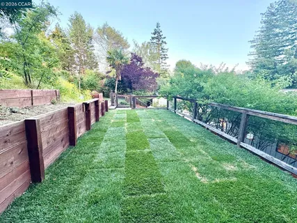 a view of a backyard