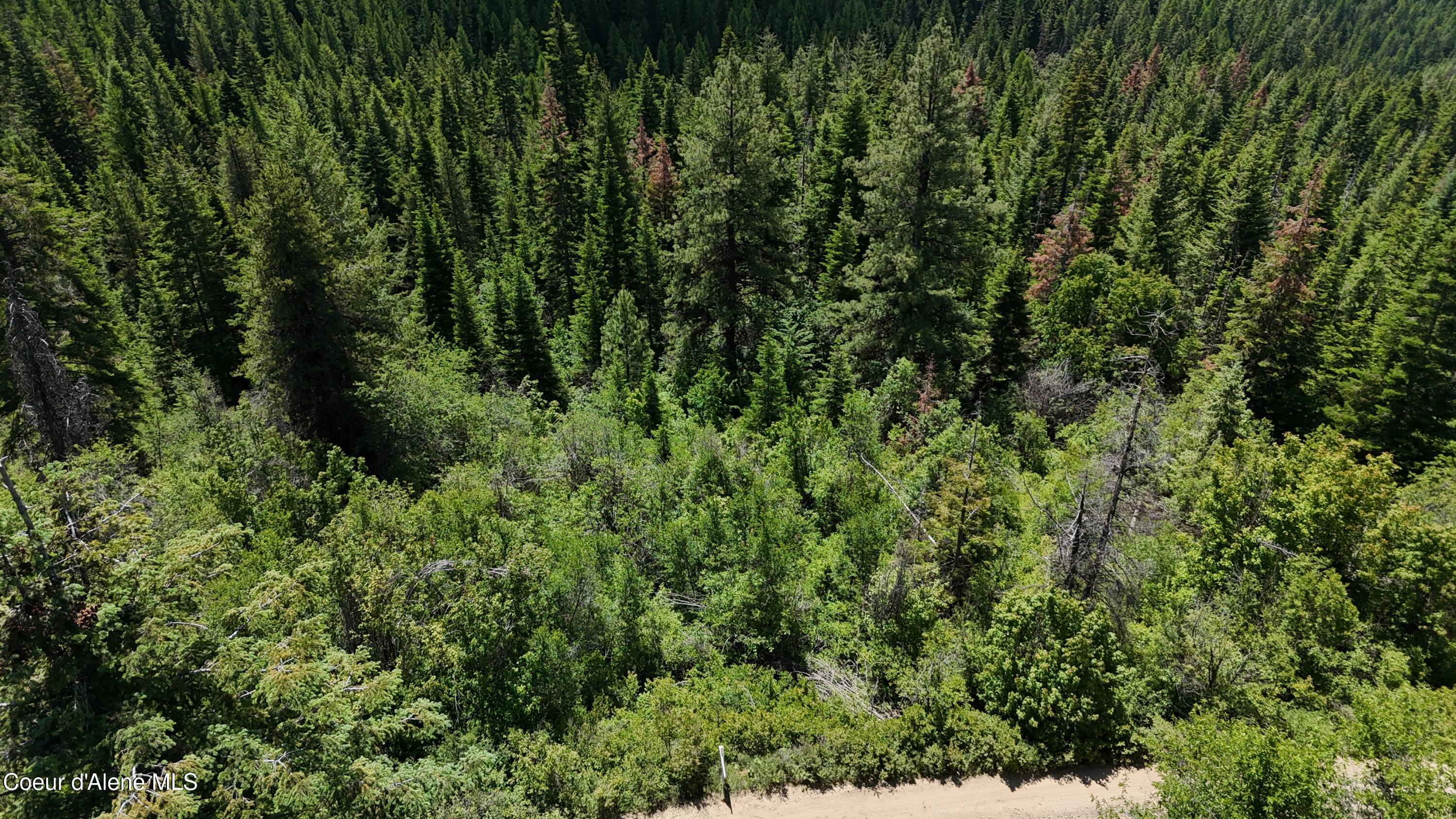 2407 Crystal Peak Road Fernwood, ID 83830 - Photo 2 of 9 4