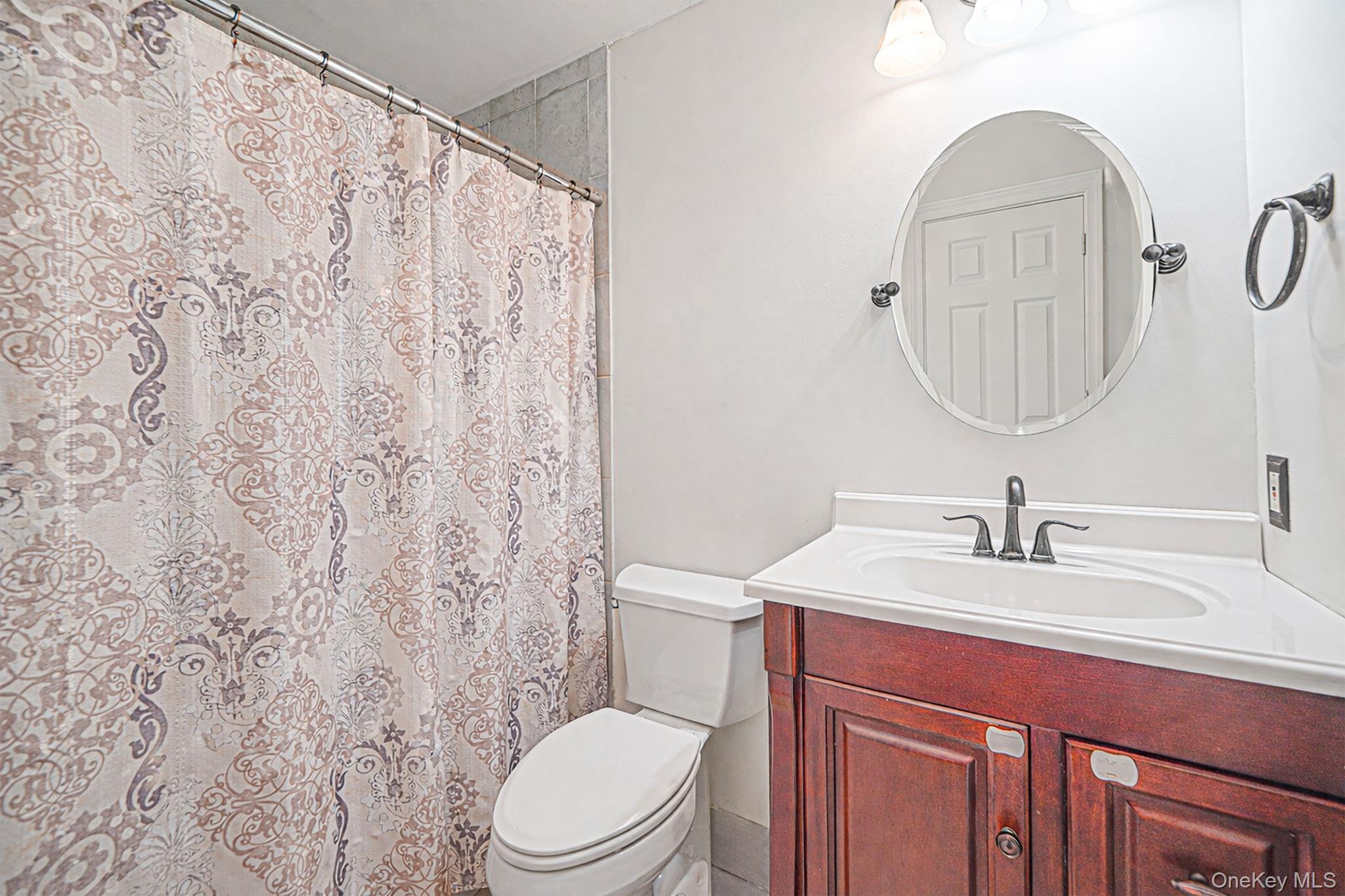 19 Goodwin Lane Coram, NY 11727 - Photo 19 of 36 a bathroom with a sink a toilet and a mirror