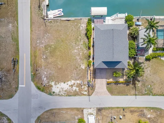 a view of a lake with boats and palm trees