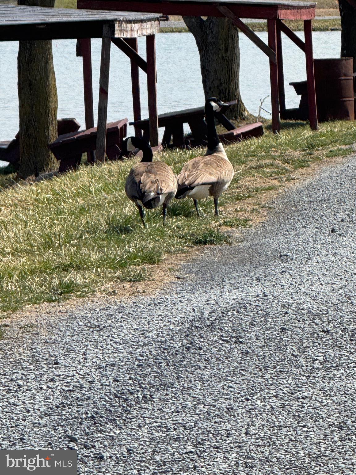 878 Hatchery Road Inwood, WV 25428 - Photo 14 of 131 a front view of a house with a yard