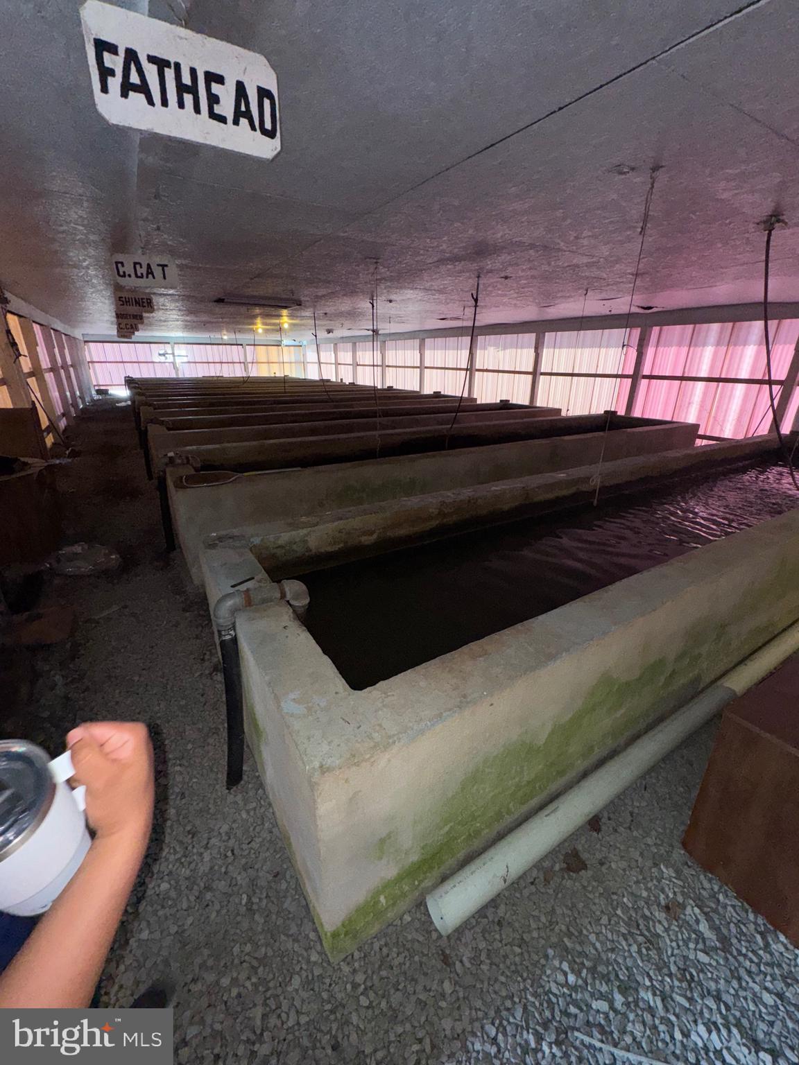 878 Hatchery Road Inwood, WV 25428 - Photo 45 of 131