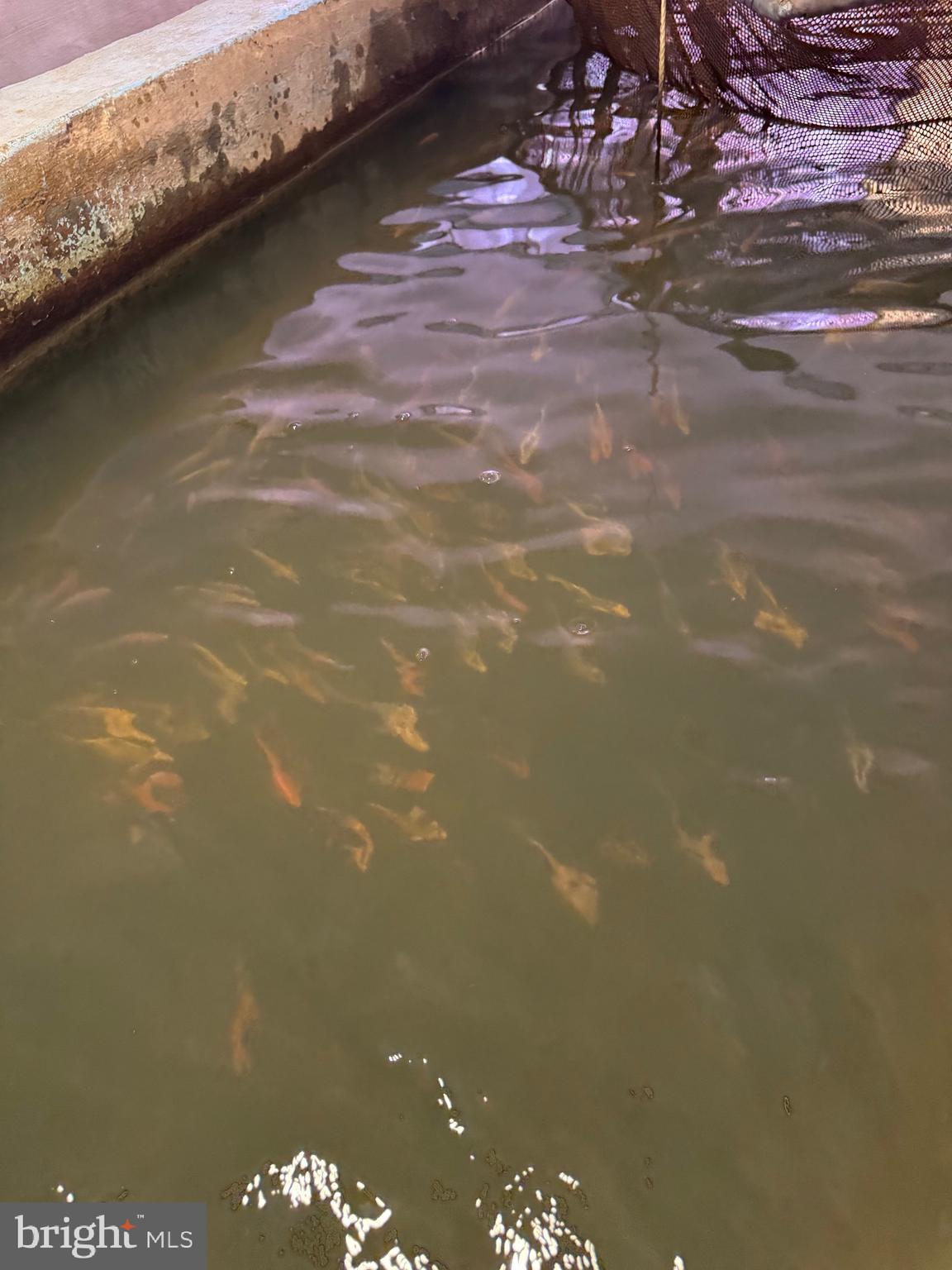 878 Hatchery Road Inwood, WV 25428 - Photo 49 of 131 a view of a lake from a floor