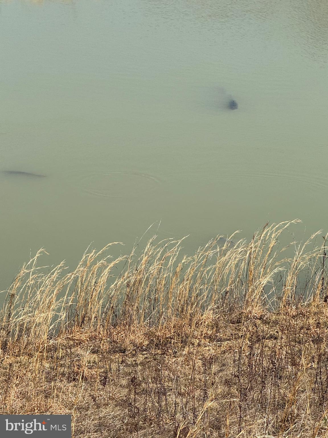 878 Hatchery Road Inwood, WV 25428 - Photo 79 of 131