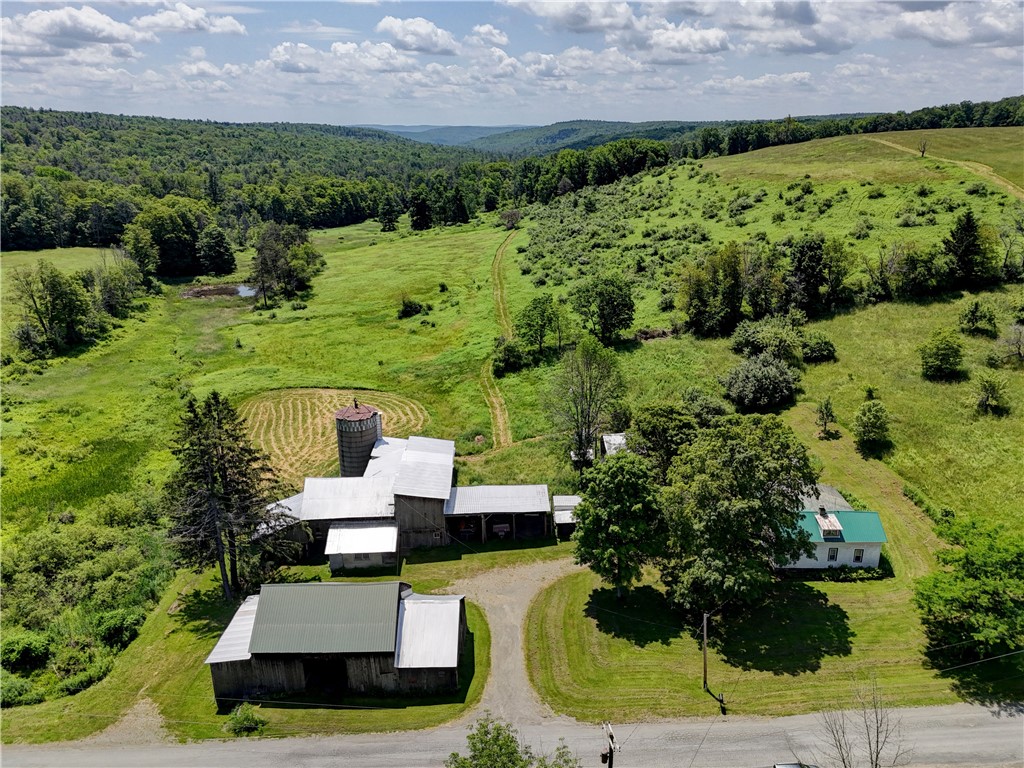212 Hill Road Spencer, NY 14883 - Photo 33 of 45