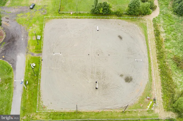 a view of a large trees
