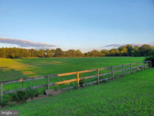 a view of a field of grass and trees