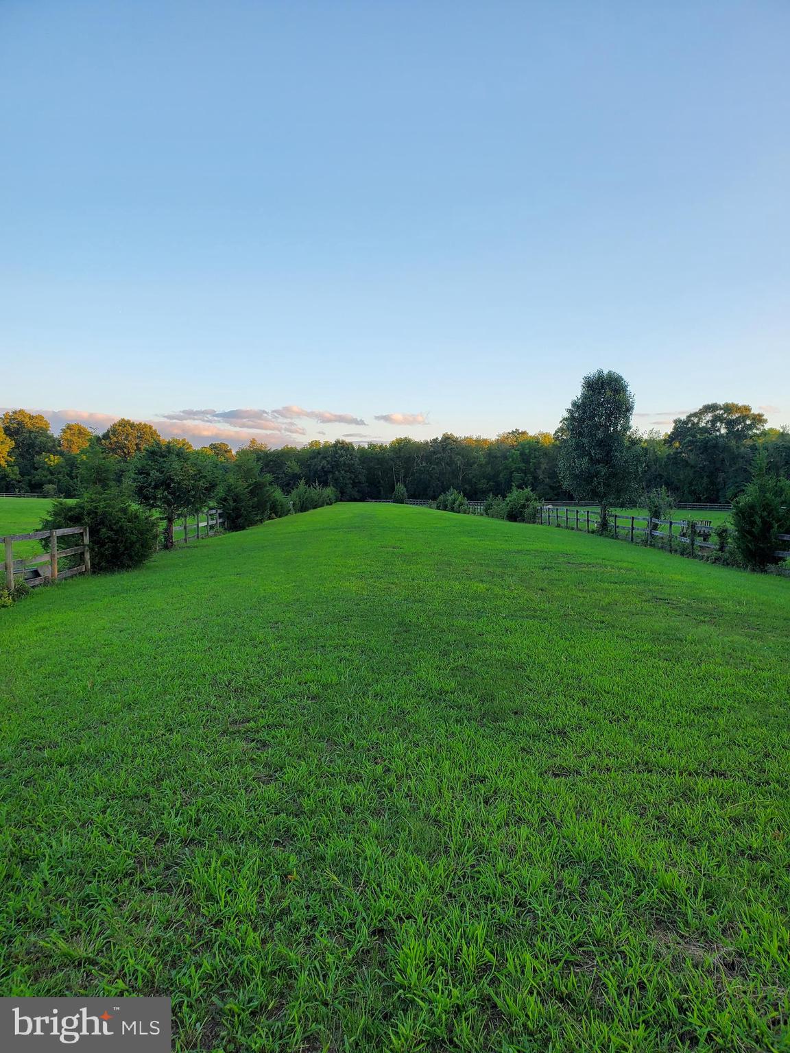 2328 Monmouth Road Jobstown, NJ 08041 - Photo 35 of 54 a view of a big yard with a large tree