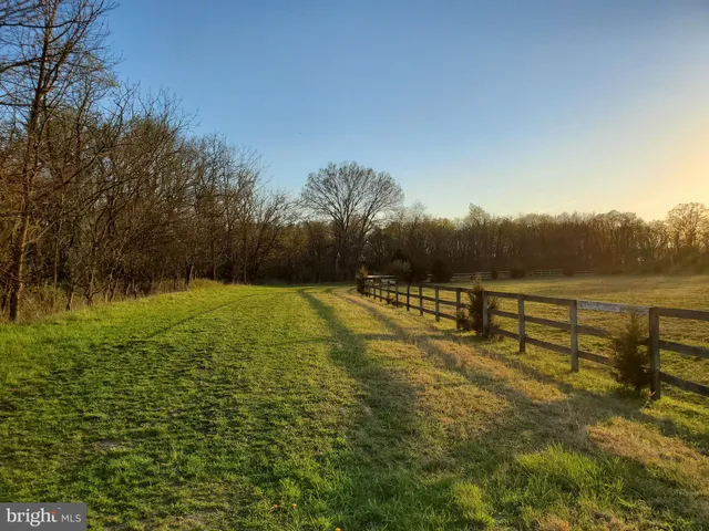 a view of park with bench