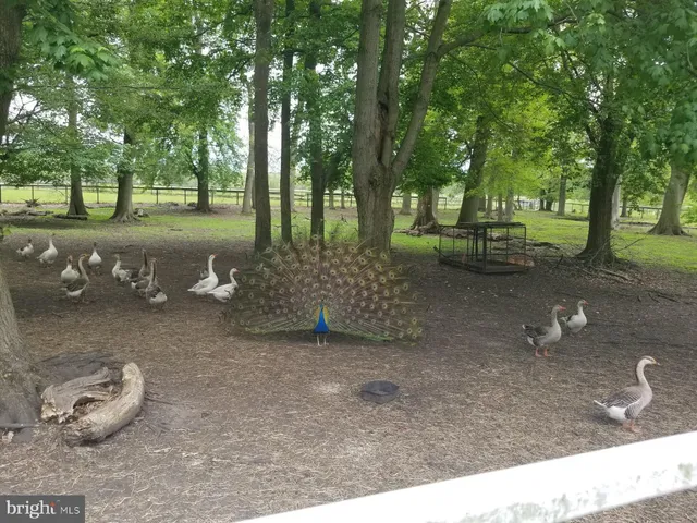 an aerial view of a houses with outdoor space and trees all around