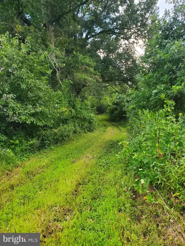 a view of a garden with a fountain