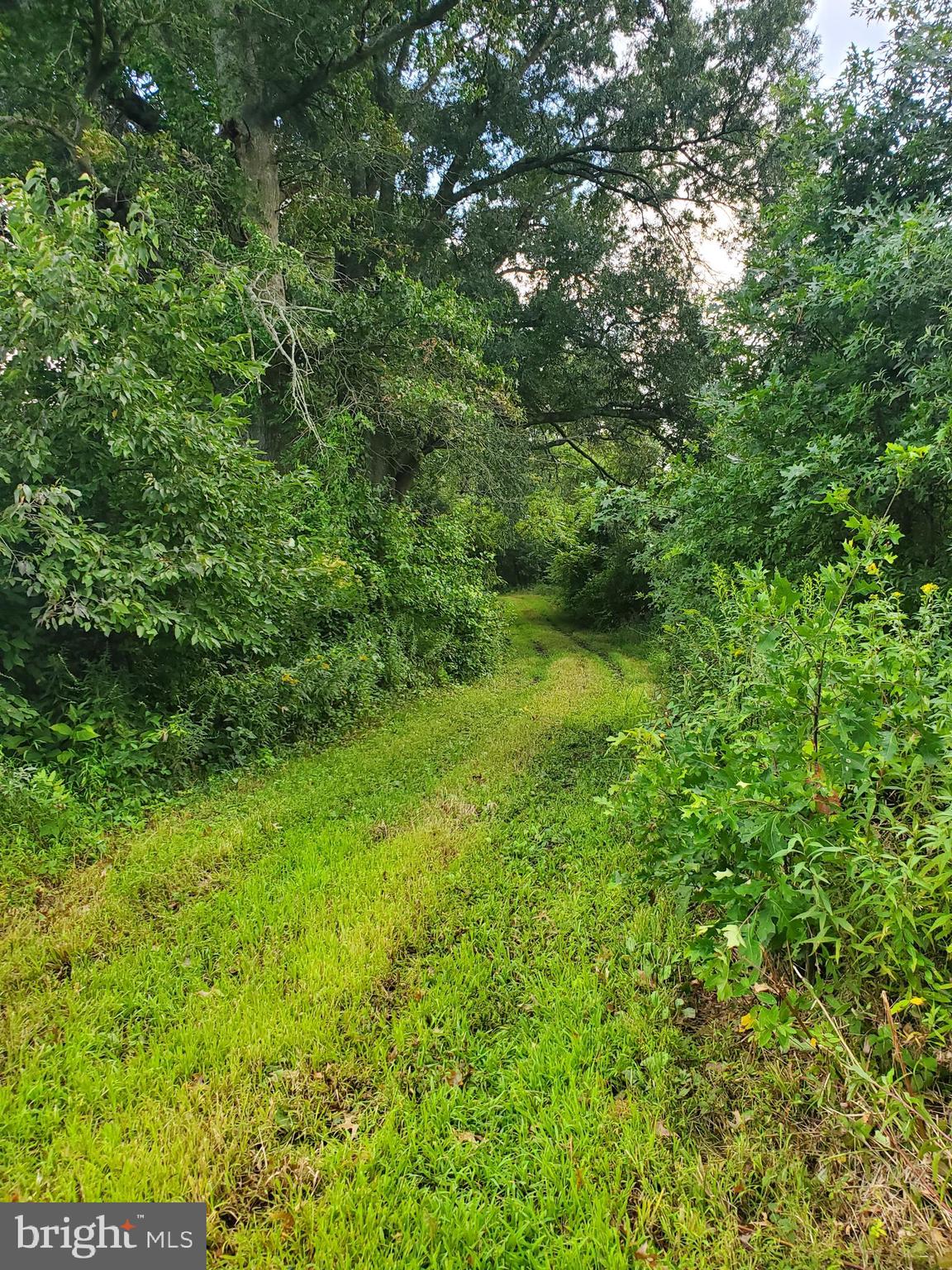 2328 Monmouth Road Jobstown, NJ 08041 - Photo 49 of 54 a view of a garden