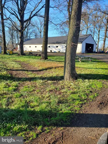 a view of a garden with large trees