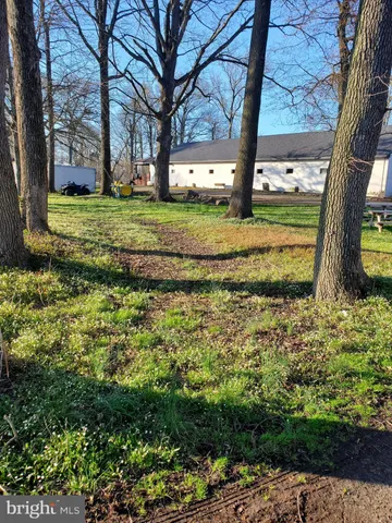 a view of a yard with an tree