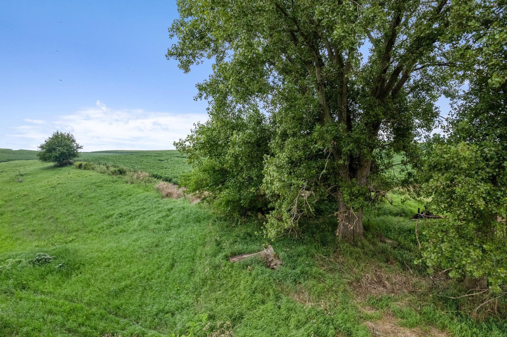 S3093 Baertsch Valley Road Fountain City, WI 54629 - Photo 31 of 38