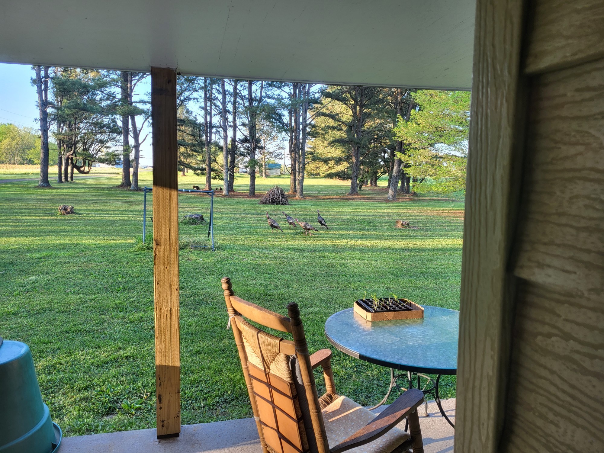 2246 Friendship Road Cross Plains, TN 37049 - Photo 4 of 43 a view of a two chairs and table in a yard